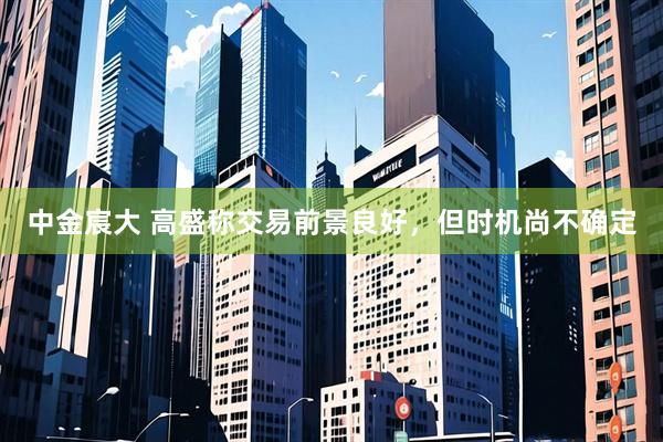 中金宸大 高盛称交易前景良好，但时机尚不确定