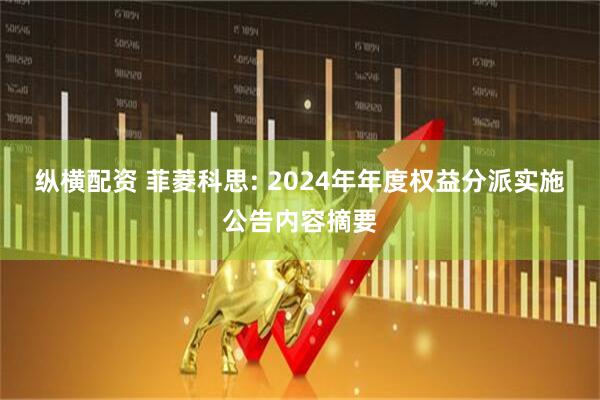 纵横配资 菲菱科思: 2024年年度权益分派实施公告内容摘要