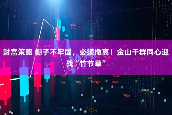 财富策略 棚子不牢固，必须撤离！金山干群同心迎战“竹节草”