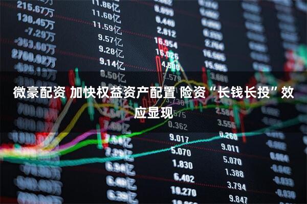 微豪配资 加快权益资产配置 险资“长钱长投”效应显现