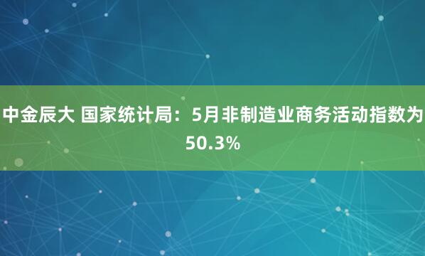 中金辰大 国家统计局：5月非制造业商务活动指数为50.3%
