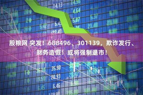 股粮网 突发！688496、301139，欺诈发行、财务造假！或将强制退市！